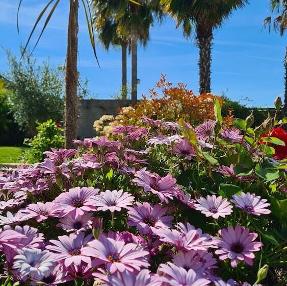 مبيت وإفطار Villa Martinus