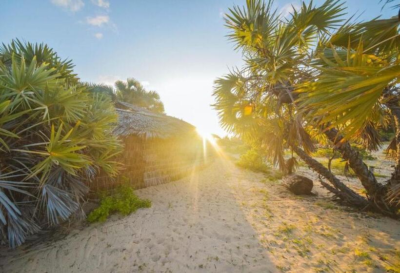 هتل Kizingo Beach Eco Lodge