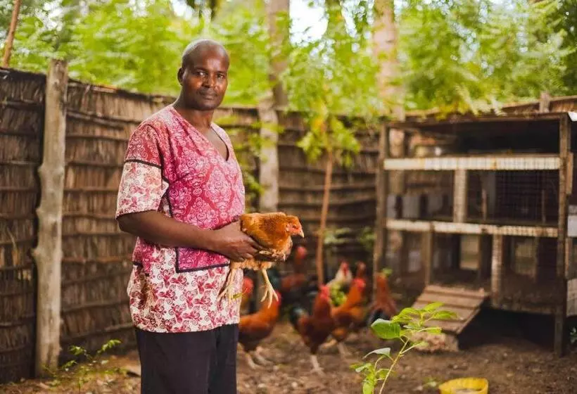 هتل Kizingo Beach Eco Lodge