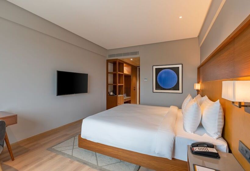 Radisson Hotel Nathdwara