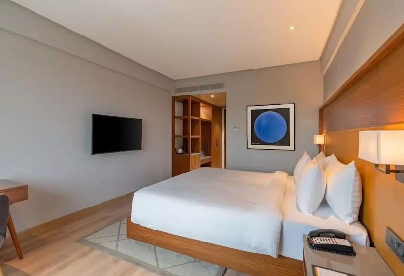 Radisson Hotel Nathdwara