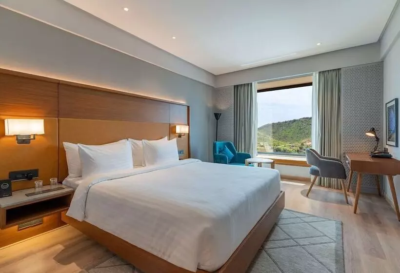 Radisson Hotel Nathdwara