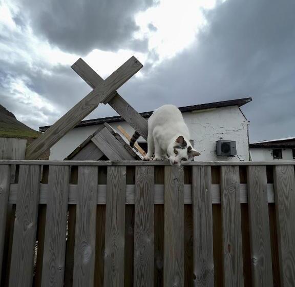 هتل Gil Guesthouse