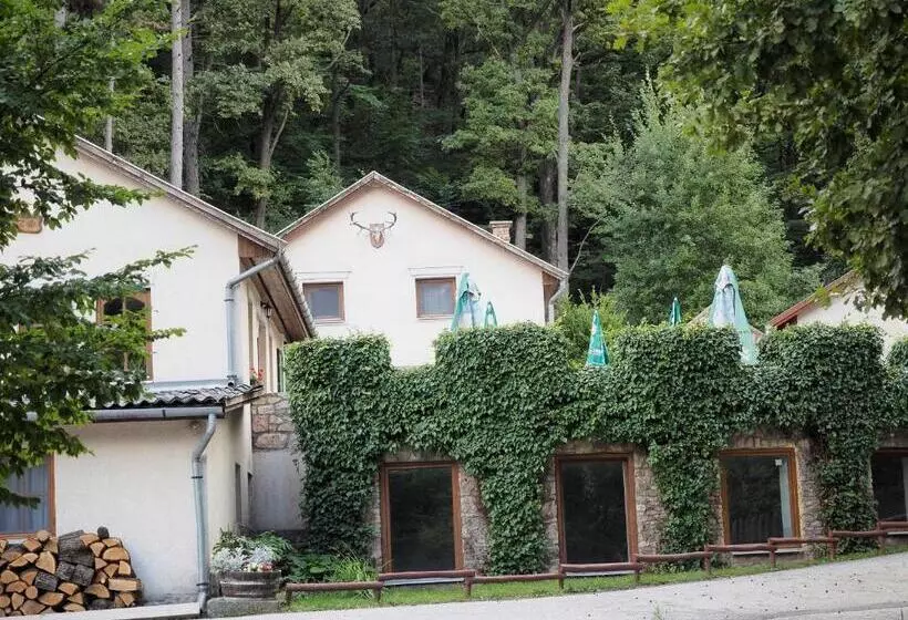 Hotelli Rókabérc Vadászház