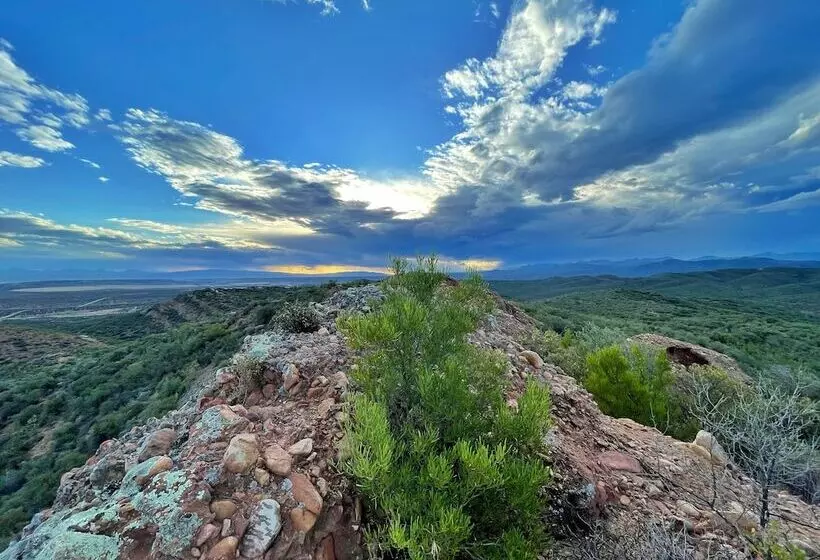 Buffelsdrift Game Lodge