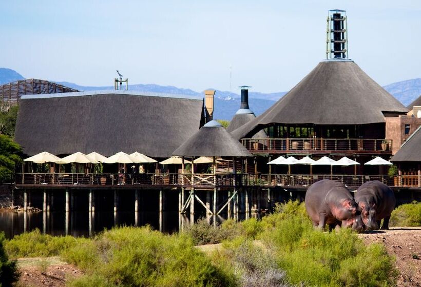 Buffelsdrift Game Lodge