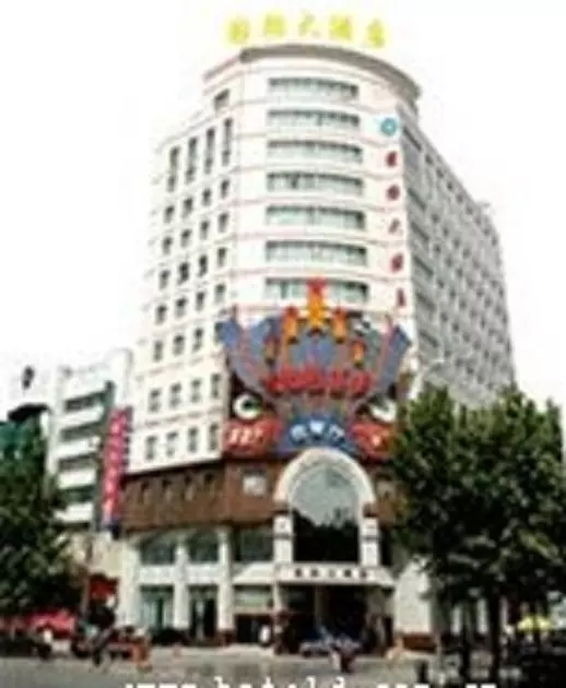 Hotel International