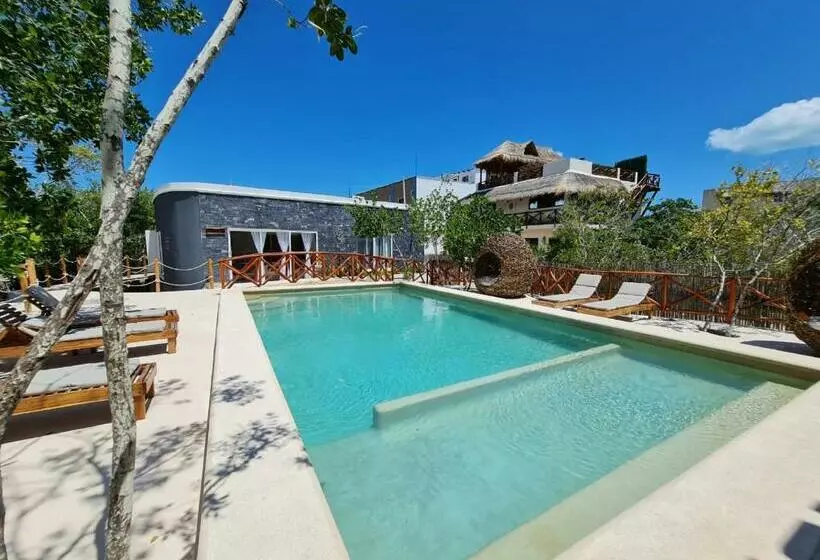 Casa Cristobal  Sanyama Holbox
