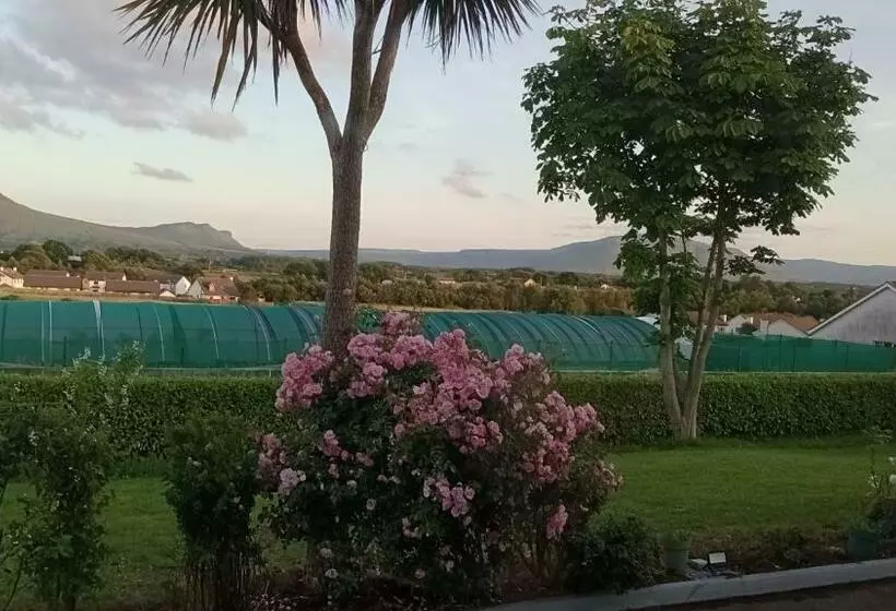 ペンション Bundoran Guesthouse
