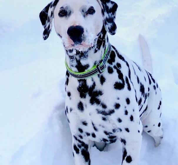 Villa Verde B&b, Bsm, Greenwood Lake, Ny