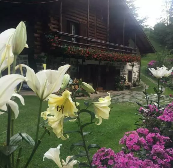 B&b Villa Plaz