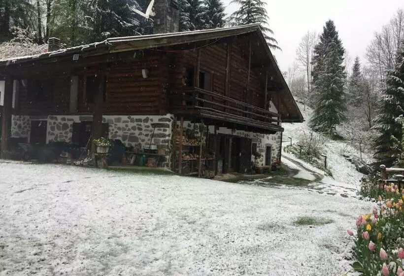 B&b Villa Plaz