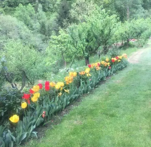 B&b Villa Plaz
