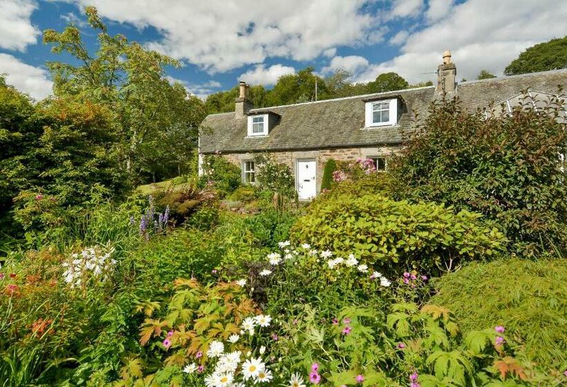 住宿加早餐  Wintergreen