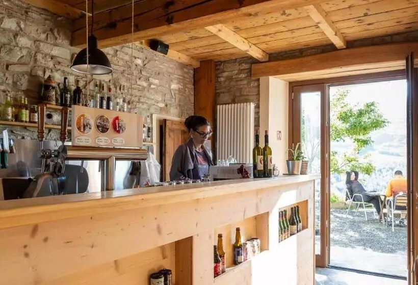 Le Spine B&b Sulla Via Francigena