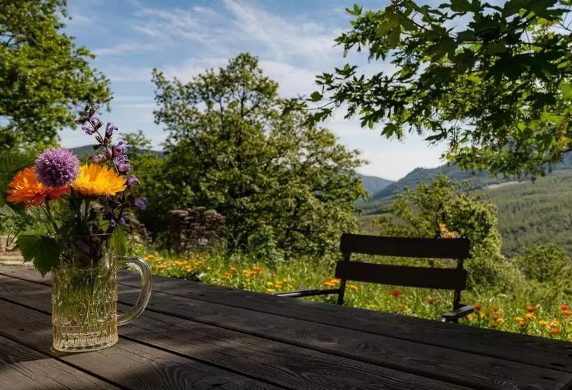 Le Spine B&b Sulla Via Francigena