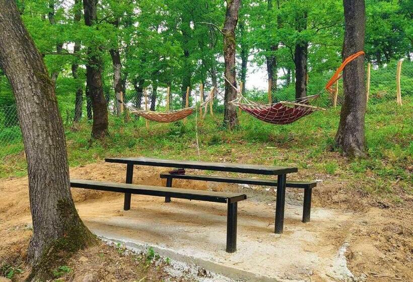 پانسیون Mango S Guesthouse