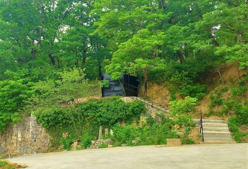 پانسیون Mango S Guesthouse