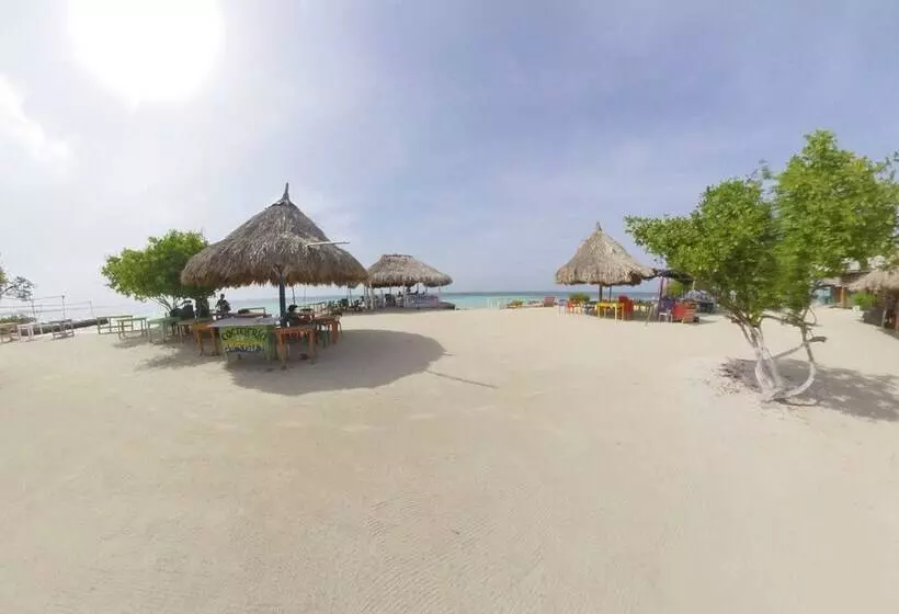 ペンション Puerto Caracol Isla Múcura