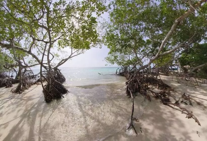 ペンション Puerto Caracol Isla Múcura