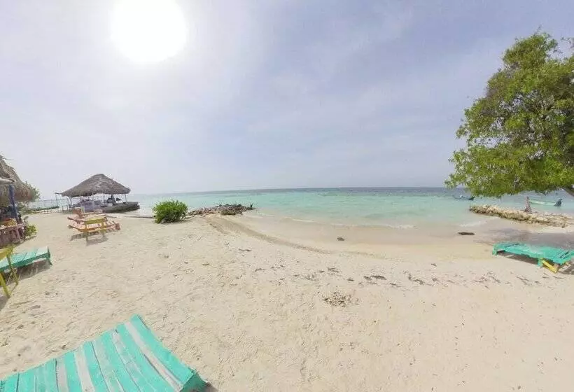 ペンション Puerto Caracol Isla Múcura