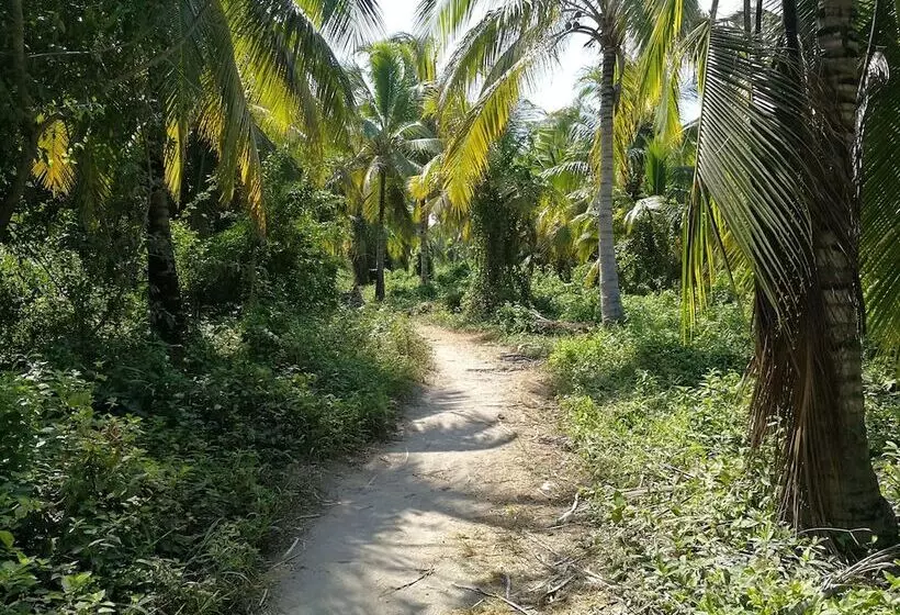 ペンション Puerto Caracol Isla Múcura