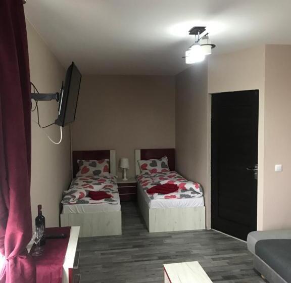 پانسیون Wellion