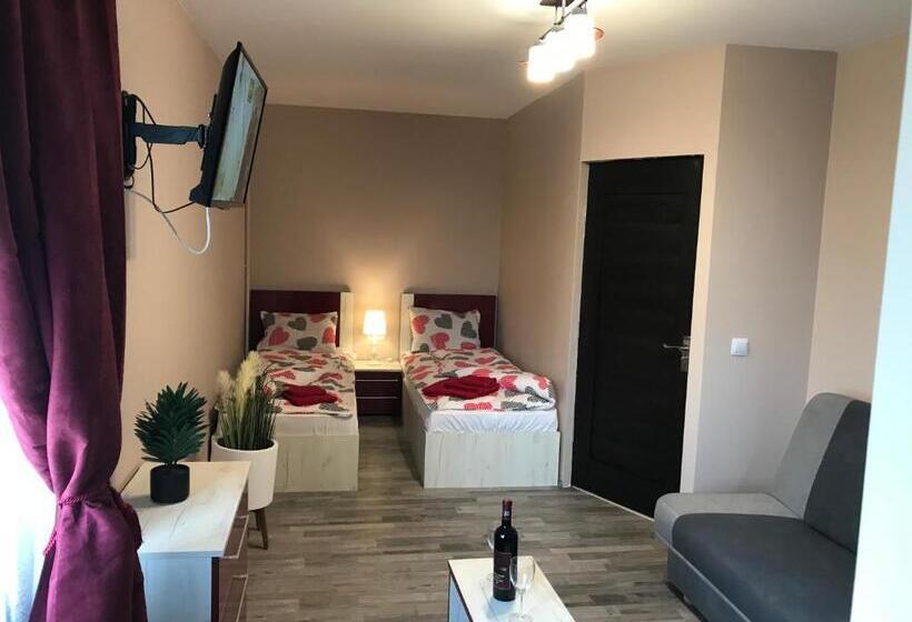 پانسیون Wellion