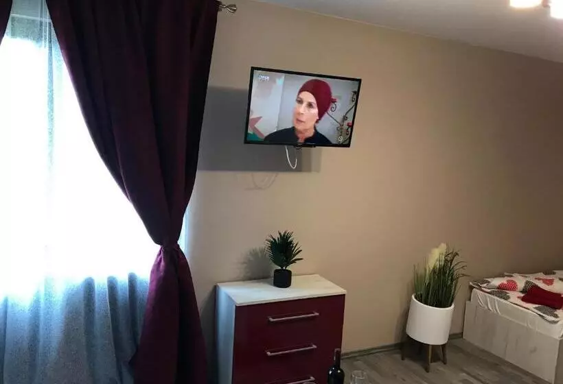 פנסיון Wellion