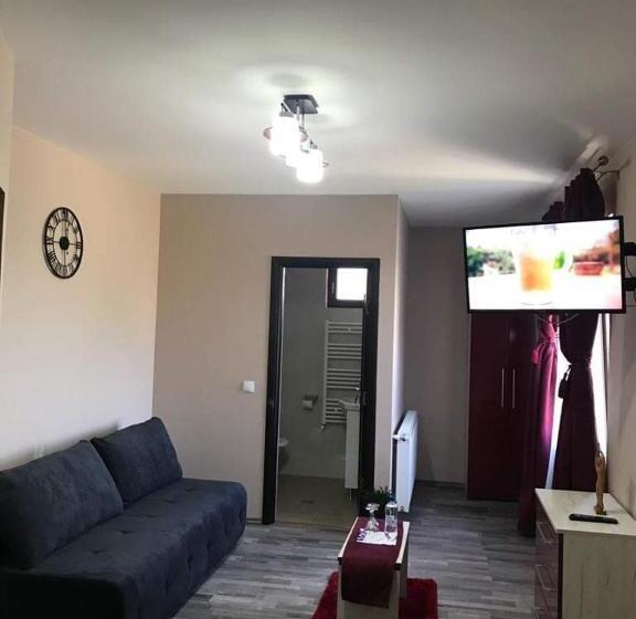 پانسیون Wellion