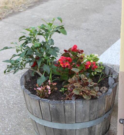 Bed and Breakfast Le Querce