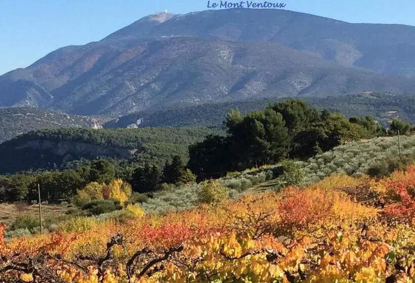 ベッドアンドブレックファースト Le Nid Au Pied Du Mont Ventoux