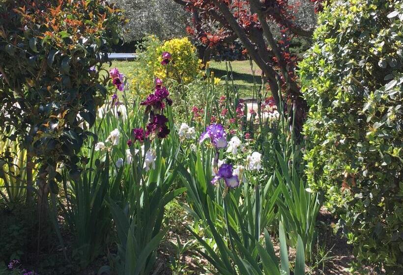 住宿加早餐  Le Nid Au Pied Du Mont Ventoux
