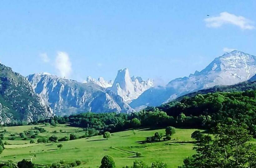 בית מלון כפרי Arenas De Cabrales Apartamentos