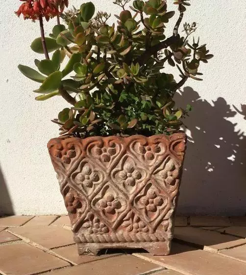 Hotelli Cavalli Di S Arcaite