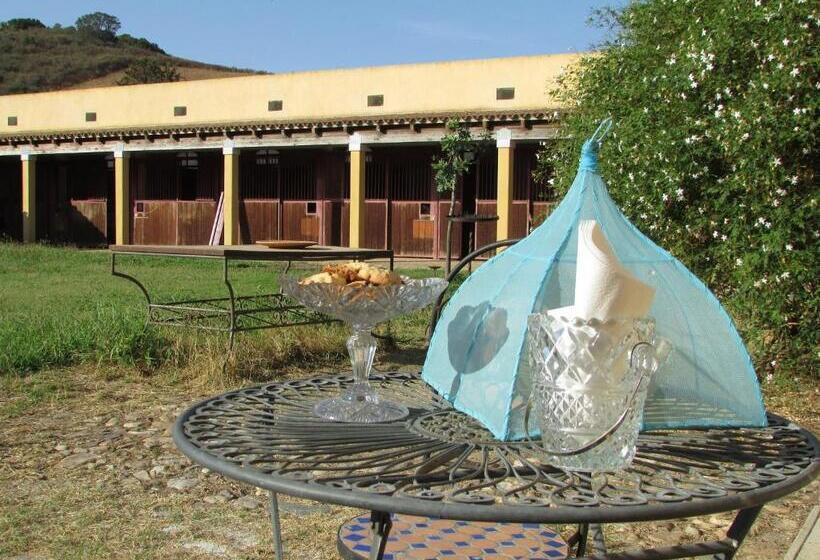 Hotel Cavalli Di S Arcaite