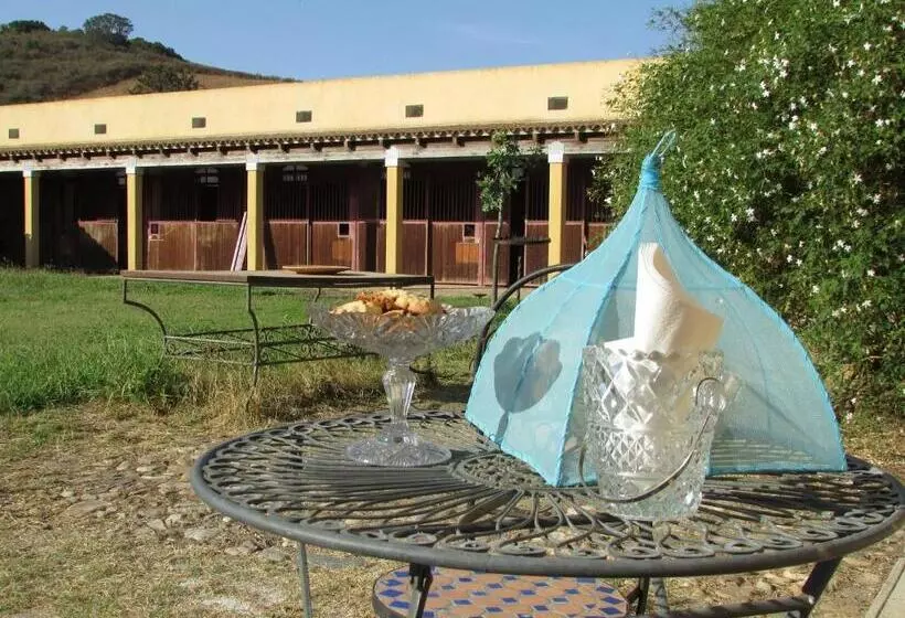 Hotelli Cavalli Di S Arcaite