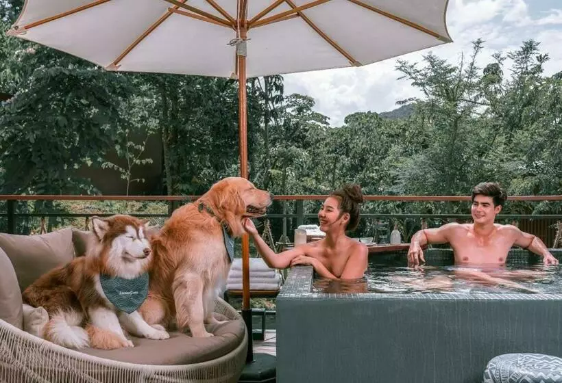 Hotelli Te Mata Glamping