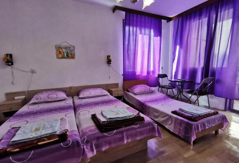 פנסיון Guesthouse Slavkova