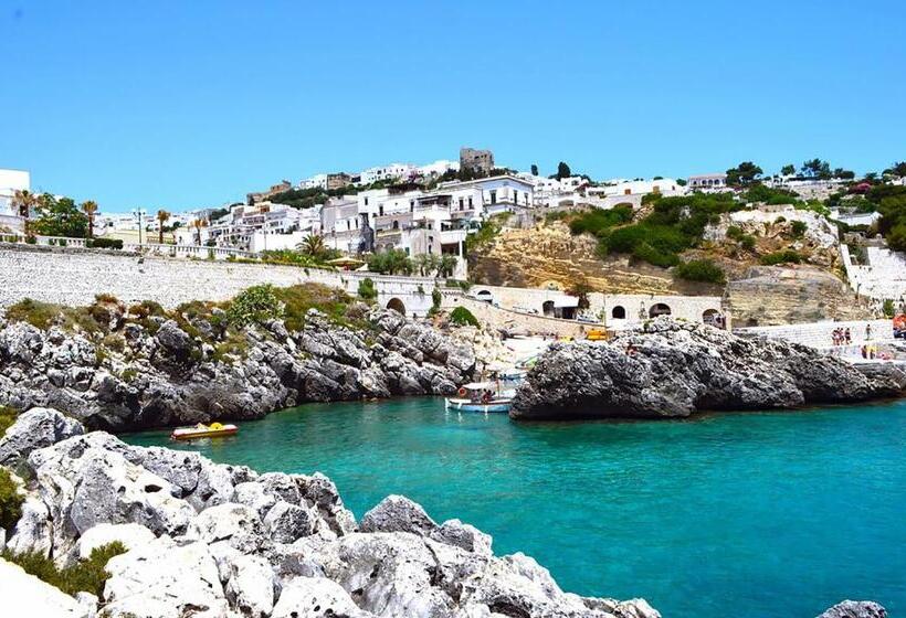 膳宿费 Chiardiluna