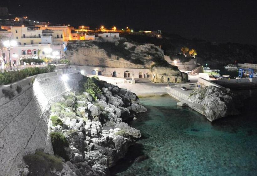 膳宿费 Chiardiluna