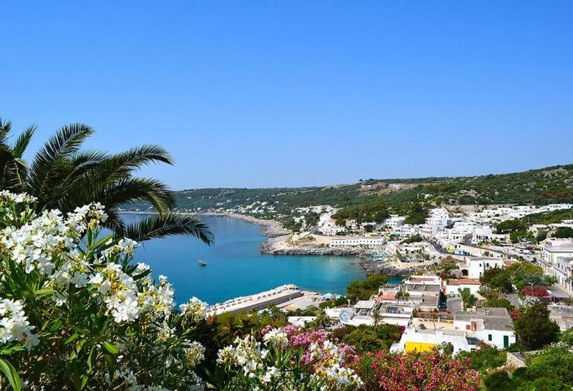 膳宿费 Chiardiluna