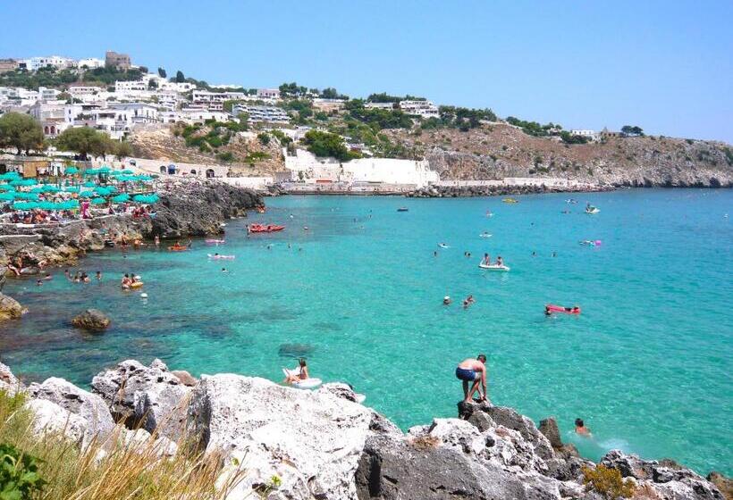 膳宿费 Chiardiluna