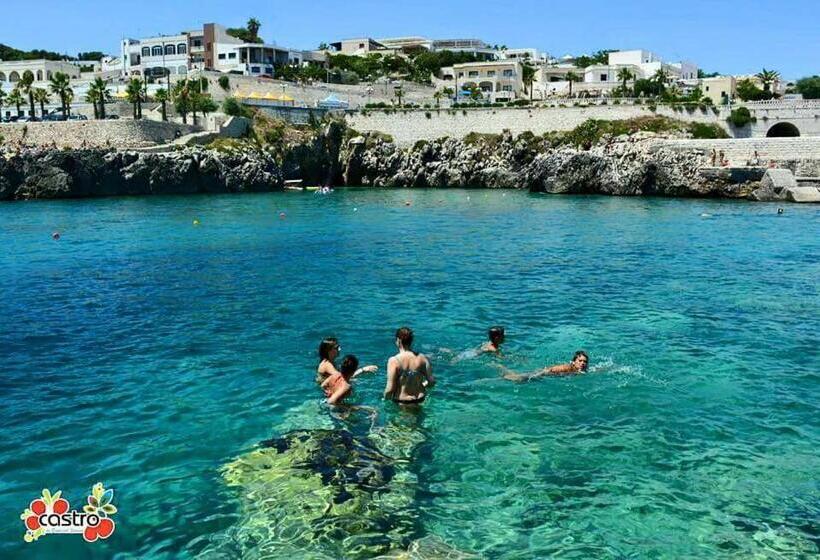 膳宿费 Chiardiluna