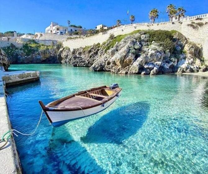 膳宿费 Chiardiluna