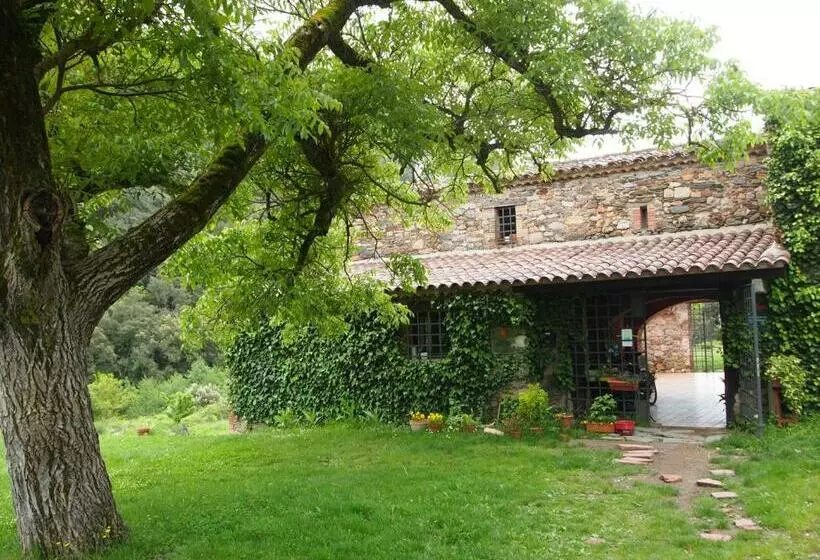 ユースホステル Bed And Breakfast Casanova De Sant Miquel