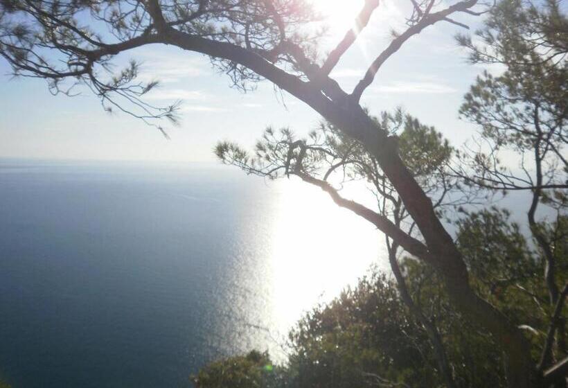 住宿加早餐 Al Coppo