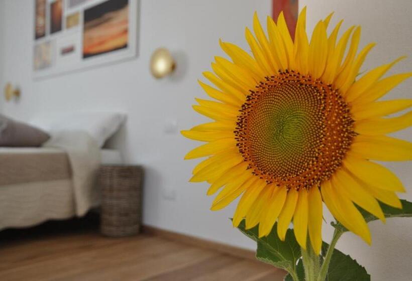 住宿加早餐 Al Coppo