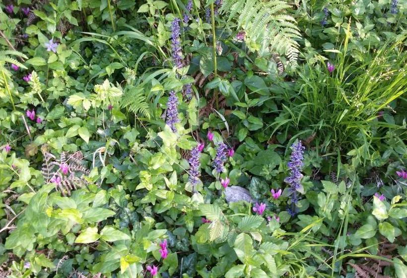 צימר I Suoni Di Valle Martina