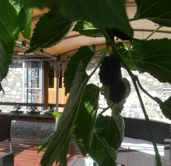 Aamiaismajoitus (B&B) I Suoni Di Valle Martina